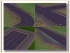 Gehwegmodule-Erweiterungsset und Bahn�berg�nge (2)