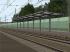 Bahnhof Mannheim-FF - Bahnsteigd�cher (2)