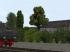 Sommerb�ume und -b�sche (3)