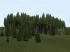 Nadelbäume und Waldkulissen (F Bild 2