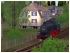 G�terzuglokomotive DR 89 005 Epoche III (1)