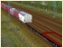 Gedeckte G�terwaggons der DR, Epoche III (1)
