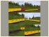 Geschl.- und Cont.-wagen der Post und DHL Set 2 (1)