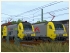 Elektrolokomotiven ES64 U2 TX-Logistik und -Altmann (1)