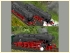 Dampflokomotiven DB 85 005 und DB 85 007 (2)