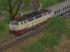 Diesel-Loks BR 217 TEE der DB - Set 1 (3)