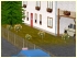 Stammgew�chse (1)