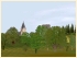 Laubb�ume (1)