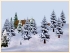 Winterbaeume (1)