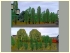 Laubbaumset 1 (4)