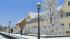 Stra�enlaterne in Winterausf�hrung (1)