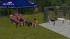 M�nner Set - Sommer (1)