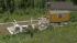 Imker mit Zubeh�r (1)