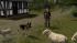 Sch�fer und Schafherde � Set 1 (3)