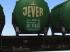 Bier Basisset Jever (3)