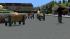 Parkb�nke - Set1 (4)