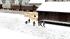 Winterkinder - Set 1 | Neuauflage (4)