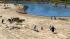 Tierpark � Wildtiere - Set 1 (2)