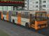 Ikarus 260 und Ikarus 280 Berlin mit Tauschtextur (1)
