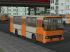 Ikarus 260 und Ikarus 280 Berlin mit Tauschtextur (2)