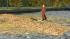 Herbstlaub (2)