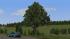 Kirschb�ume und Linden (mittelgro�) (2)