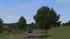 Kirschb�ume und Linden (mittelgro�) (3)