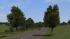 Kirschb�ume und Linden (mittelgro�) (4)