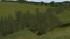 Gleisvegetation (1)