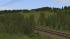 Gleisvegetation (3)