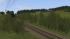 Gleisvegetation (4)