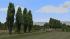 Pappeln und Stra�enb�ume (3)