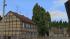 Pappeln und Stra�enb�ume (4)