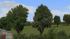 Sommerb�ume und Baumkulissen (4)