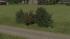 Sommerb�sche Set 2 (4)