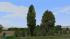 Kombinierte Baum- und Buschreihen (4)