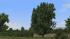 Kastanien, Schwarzpappeln, Sommerb�ume (3)