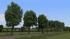 Laubb�ume und Reihen f�r Landstra�en (1)
