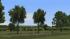 Laubb�ume und Reihen f�r Landstra�en (2)