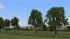 Laubb�ume und Reihen f�r Landstra�en (3)