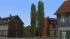 Vegetationsmix (4)