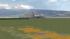 B7378W OE-LNP ( Austrian ) (1)