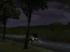 Checker Cab (4)