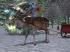 Gratisangebot 043 - Weihnachtsset 2014 (3)