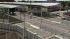 Freiburger Stadtbahnbr�cke am Hauptbahnhof (3)