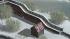 Fu�g�ngerbr�cke mit gemauertem Gel�nder, Winterversion (2)