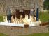 Amphitheater Miwula (2)