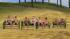 Badeg�ste sitzend Set 1 (1)