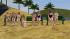 Badeg�ste sitzend Set 2 (1)