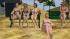 Badeg�ste sitzend Set 2 (2)